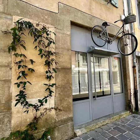 Le Velo - Cite 500m, Parking Public Gratuit 200m, Wifi, Menage Inclus - Free Car Park 200m